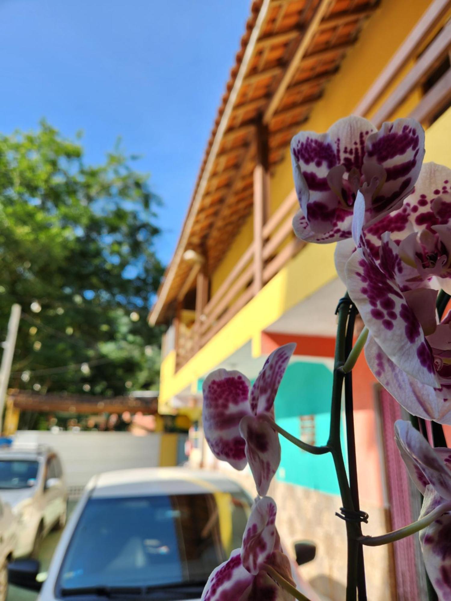 Pousada Morena Raiz Ubatuba Zewnętrze zdjęcie